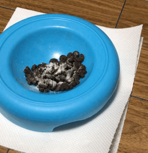 ラブリービーを犬が食べているGIF画像
